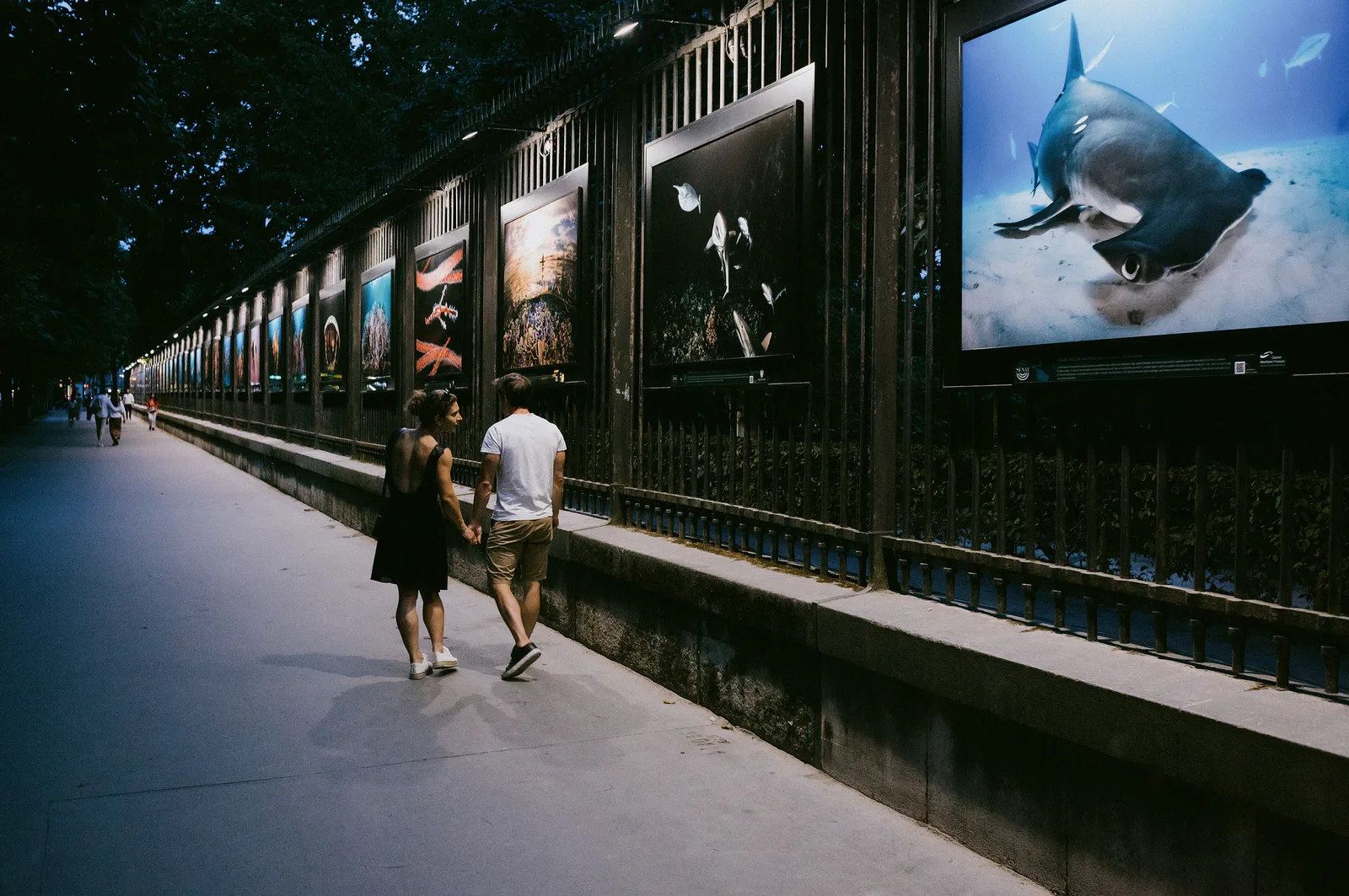 Paris, 58 of 84