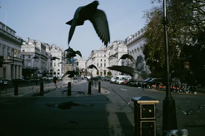 London, 27 of 58