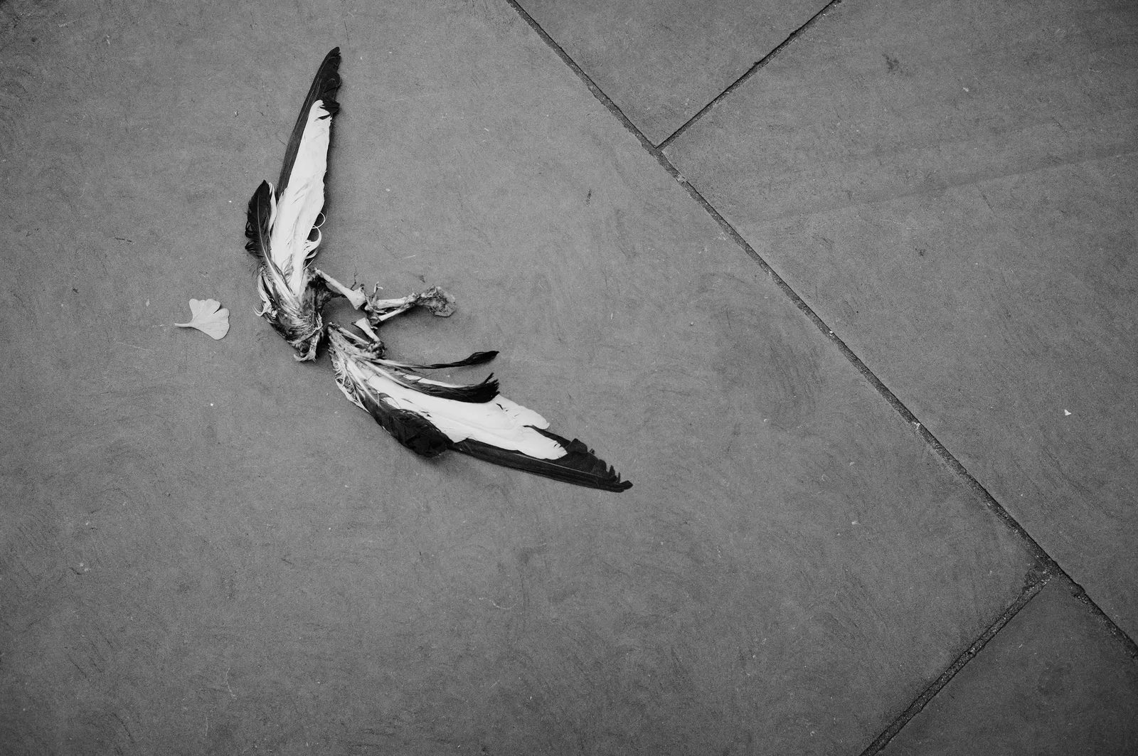 London, 26 of 58
