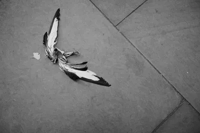 London, 26 of 58