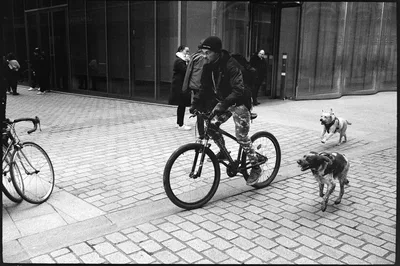 Paris, 21 of 84