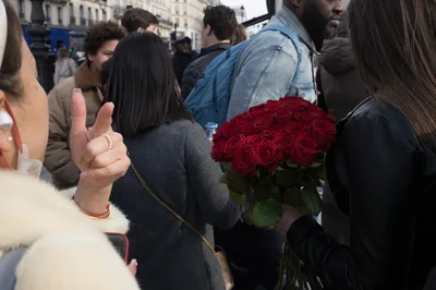 Paris, 34 of 84